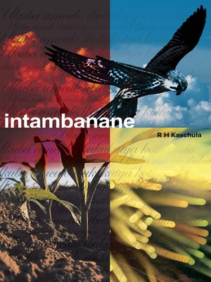 cover image of Intambanane